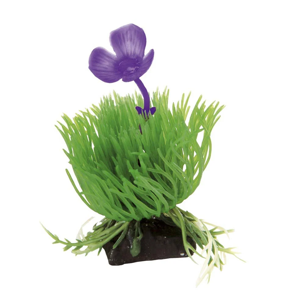 FERPLAST Akvarijsko bilje BLU 9056 Acorus 3,5x2xh10 cm