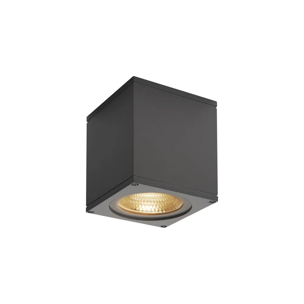 LED stropna svjetiljka BIG THEO, antracit, 21W, 3000K, IP44