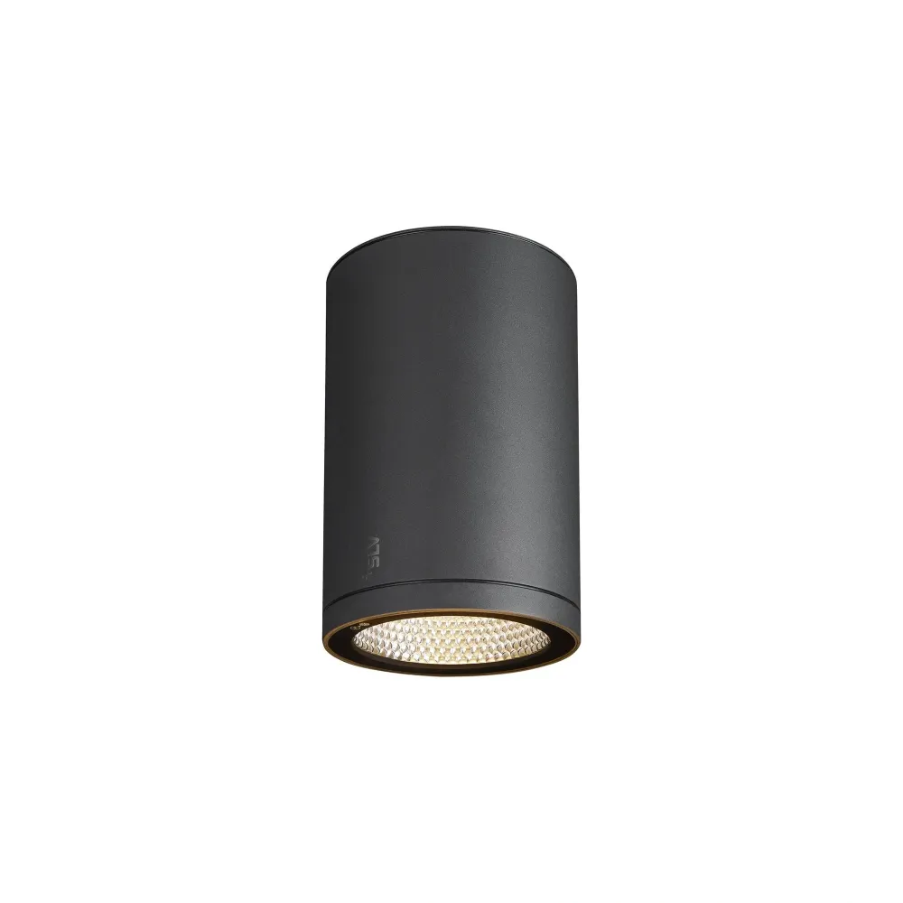 LED stropna svjetiljka ENOLA ROUND L, antracit, 36W, 3000/4000K, IP65