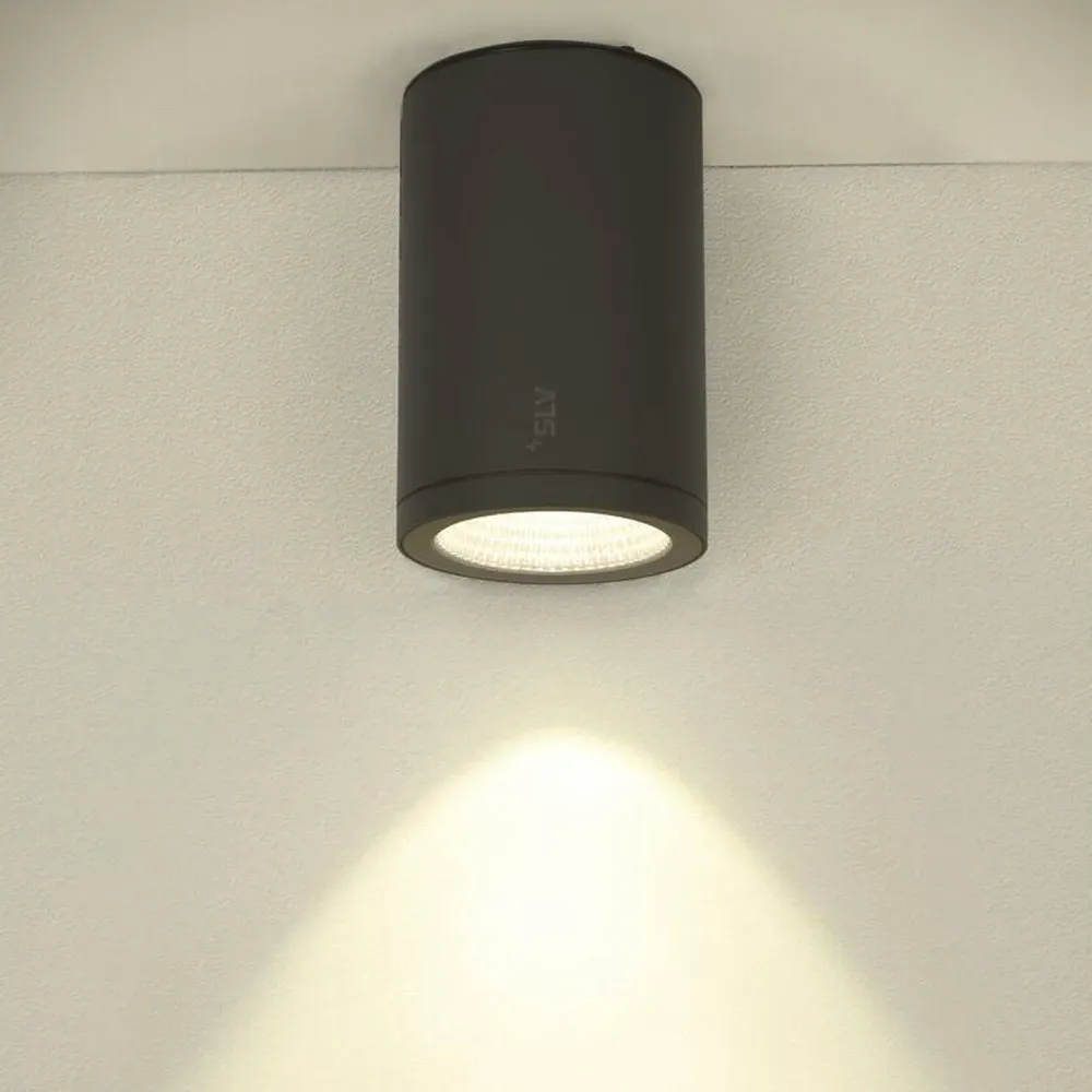 LED stropna svjetiljka ENOLA ROUND L, antracit, 36W, 3000/4000K, IP65