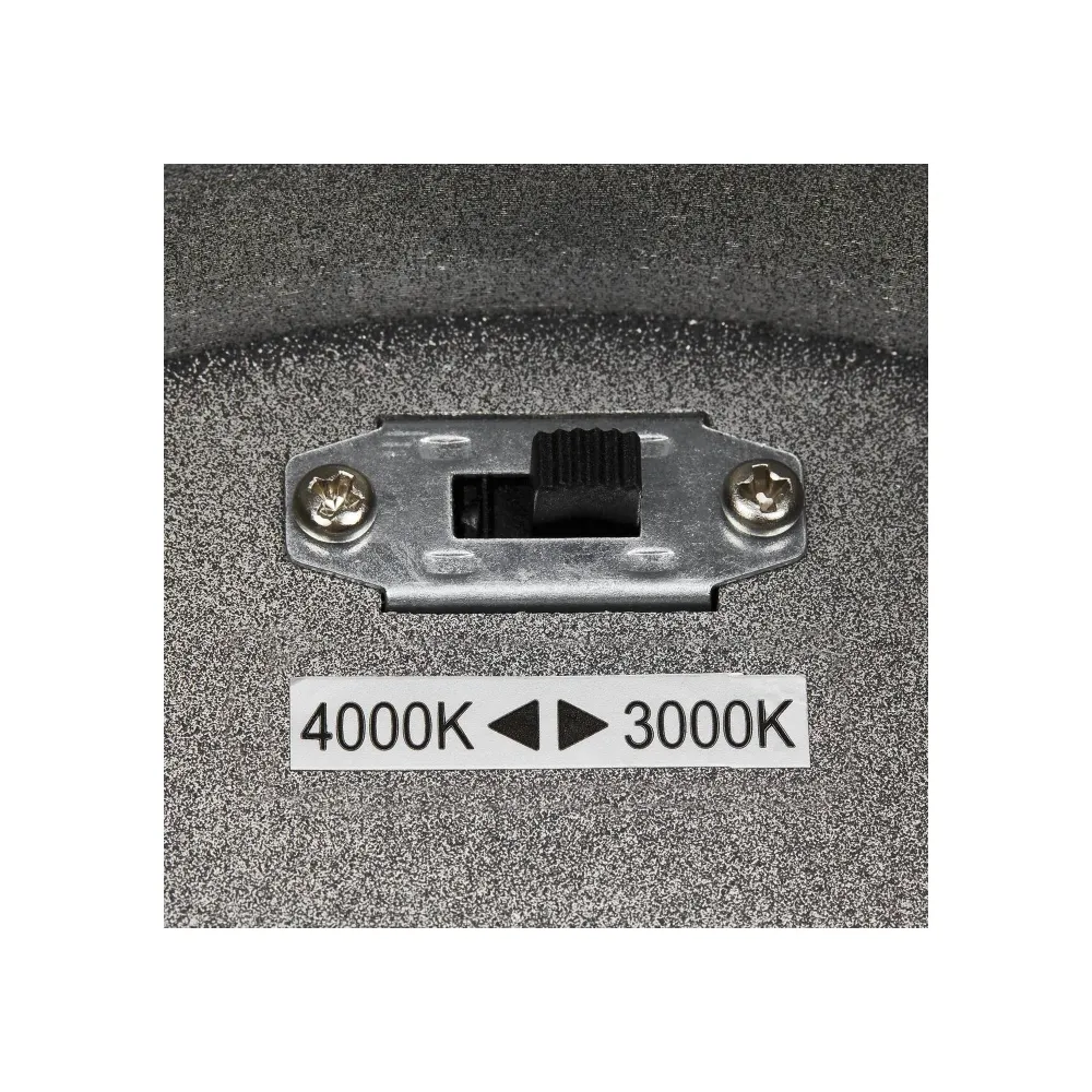 LED stropna svjetiljka ENOLA ROUND L, antracit, 36W, 3000/4000K, IP65