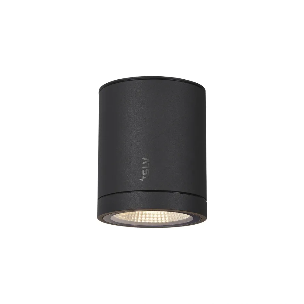 LED stropna svjetiljka ENOLA ROUND M, antracit, 11W, 3000/4000K, IP65