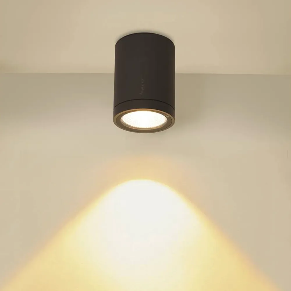LED stropna svjetiljka ENOLA ROUND M, antracit, 11W, 3000/4000K, IP65