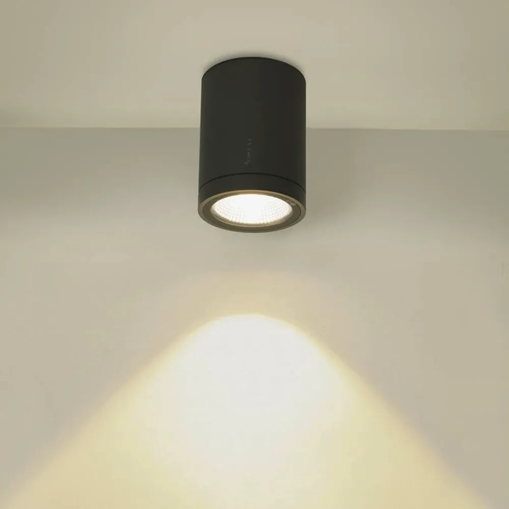 LED stropna svjetiljka ENOLA ROUND M, antracit, 11W, 3000/4000K, IP65