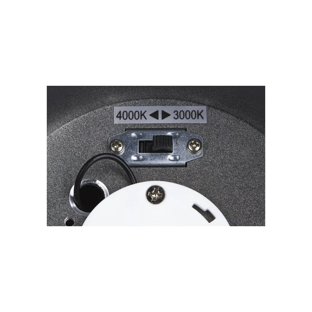LED stropna svjetiljka ENOLA ROUND M, antracit, 11W, 3000/4000K, IP65