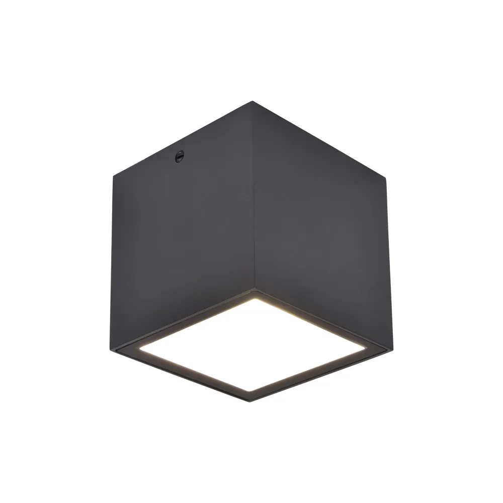 LED stropna svjetiljka GEMINI, tamno siva, 7W, 4000K, IP65