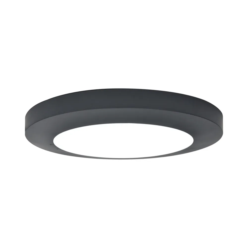 LED stropna svjetiljka KAYAH, tamno siva, 16.5W, 3000K, IP54, Ø305mm