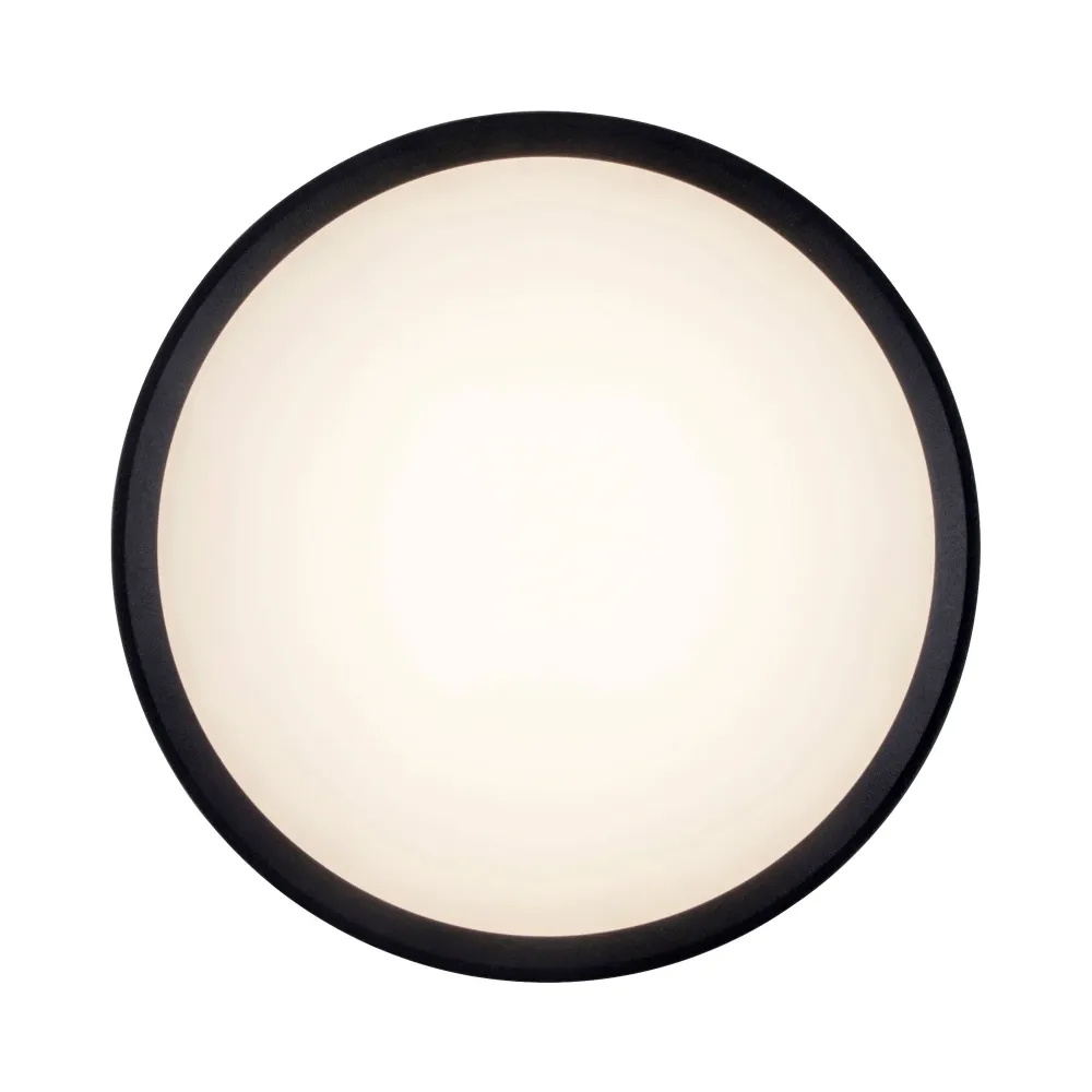LED stropna svjetiljka ROLA, tamno siva, 11.6W, 3000K, IP54, Ø183mm