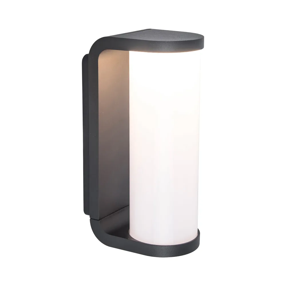 LED zidna svjetiljka ADALYN, tamno siva, 10.2W, 3000K, IP44