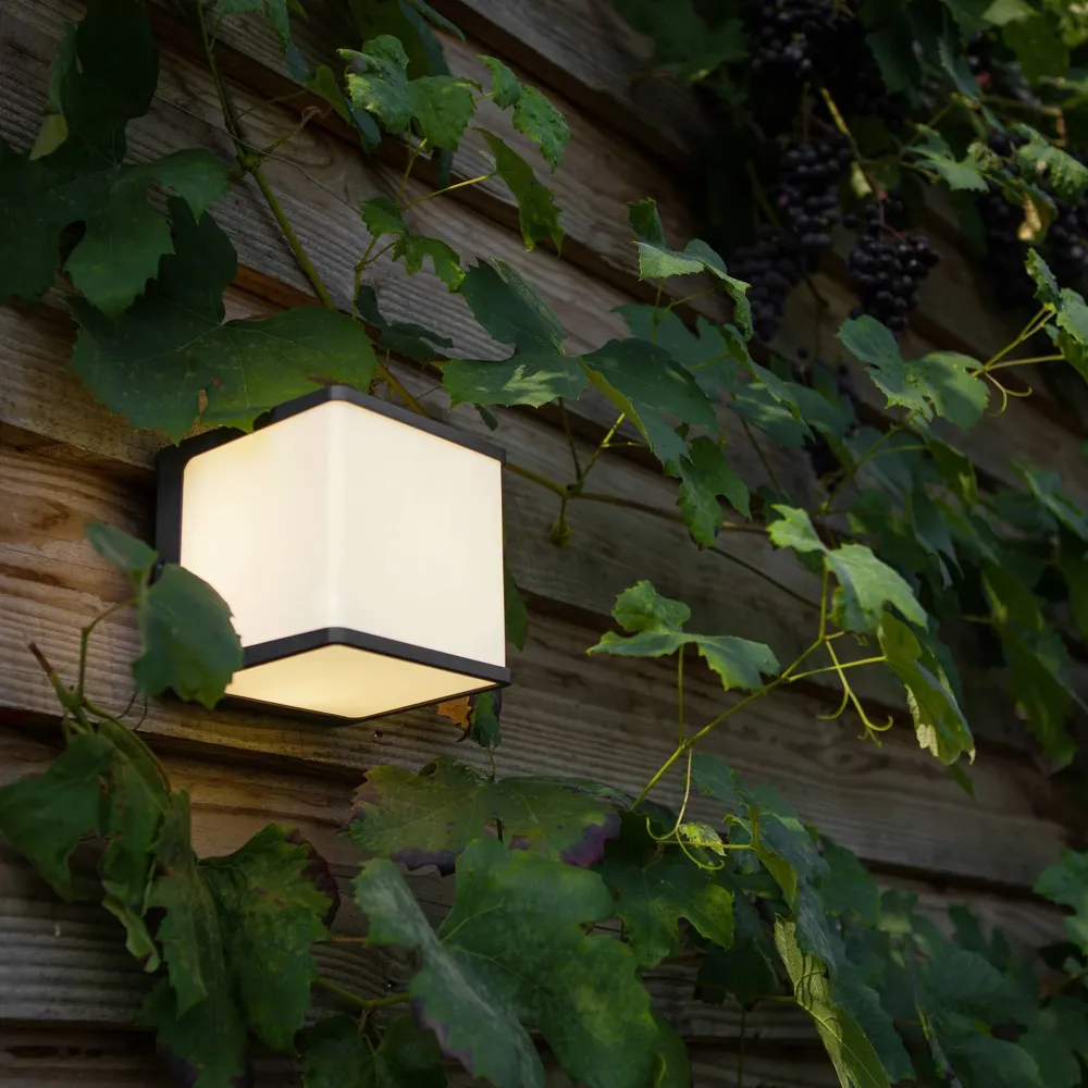 LED zidna svjetiljka DOBLO, tamno siva, 19.1W, 3000K, IP54