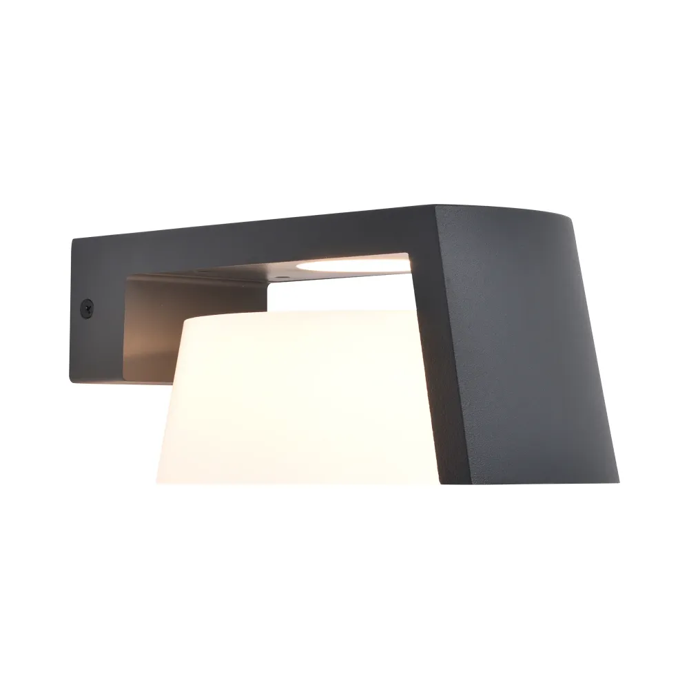 LED zidna svjetiljka MOON, tamno siva, 11.1W, 3000K/4000K, IP44