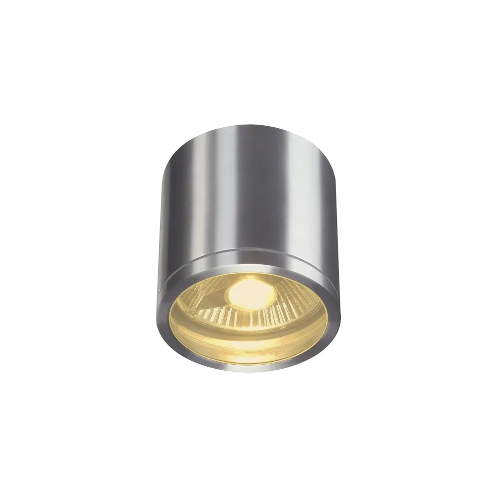 Stropna svjetiljka ROX, aluminij, 1xGU10, IP44