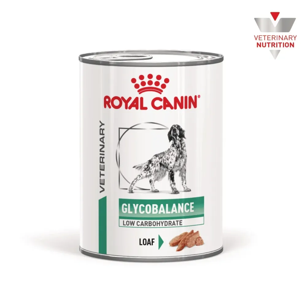 RC VHN Glycobalance, za regulaciju opskrbe glukozom, 410g