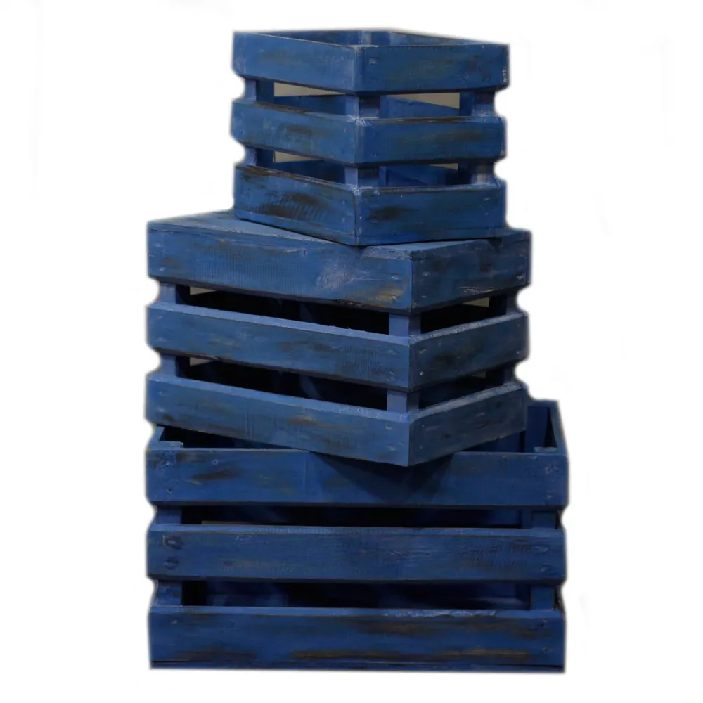 Set kutija za voće od 3 plave boje