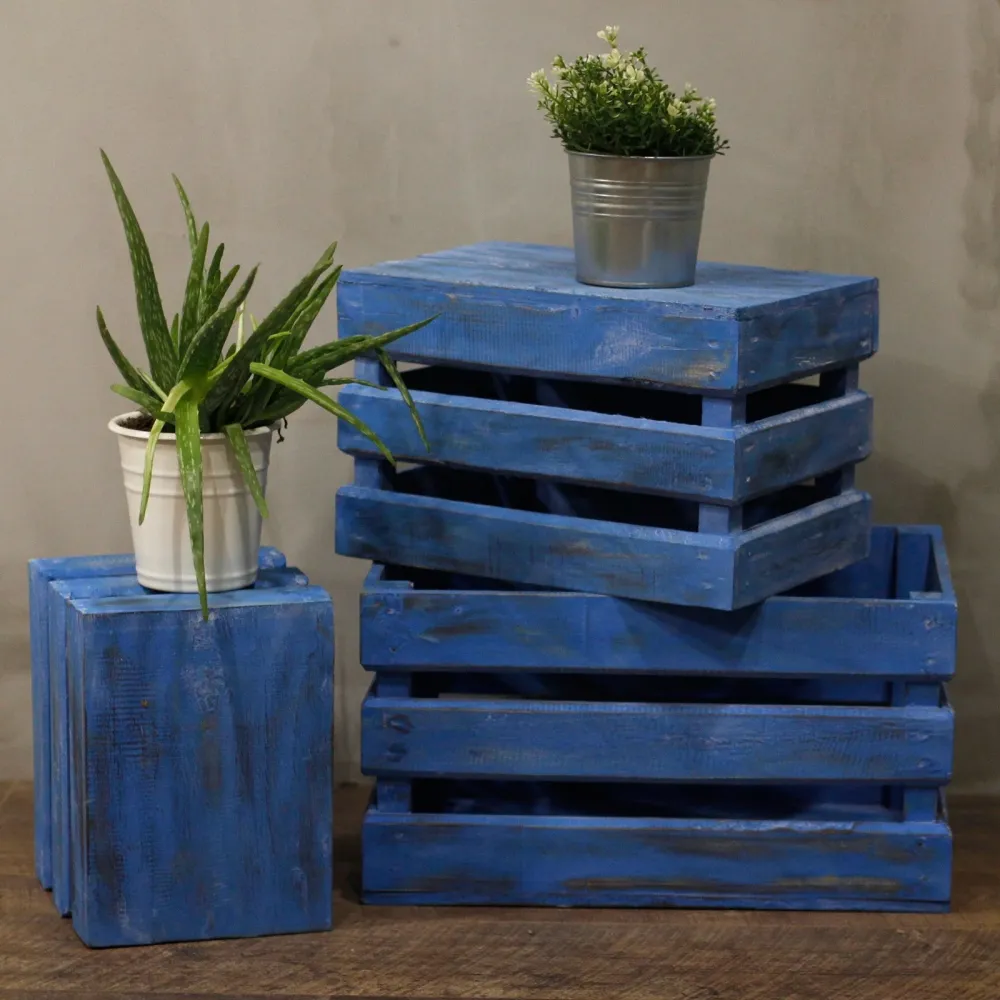Set kutija za voće od 3 plave boje