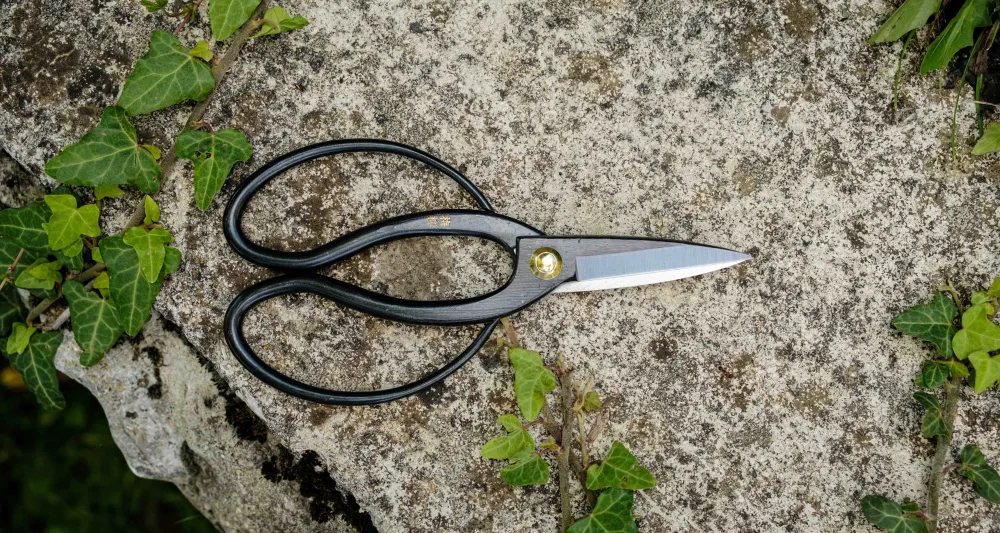 Tsurumaki Bairyu Long Blade Bonsai Okubo Scissors 200 mm