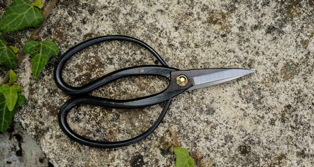 Tsurumaki Bairyu Long Blade Bonsai Okubo Scissors 165 mm